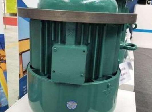 軸電流量對龍門吊電機的損壞有多大？